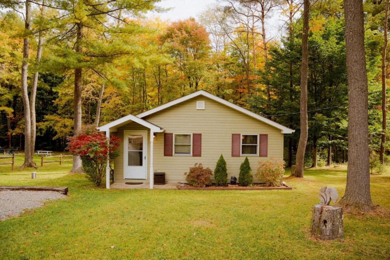 Cozy Cottage Near Cook Forest Park, Anf Marienville Экстерьер фото